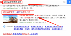 四川省宜宾普什集团3D有限公司与我司做网站推广项目