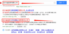 四川省宜宾市思坡醋业有限责任公司与我司做网站设计项目